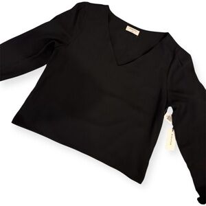 Aritzia Babaton Murphy Long Sleeve V-Neck Blouse | Black | M | NWT